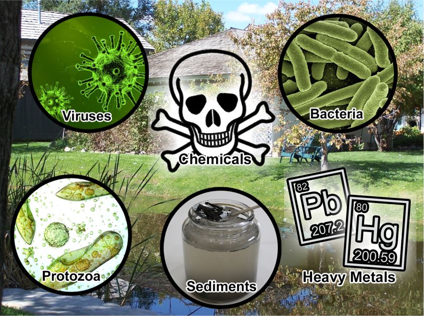 Various things that can contaminate water.