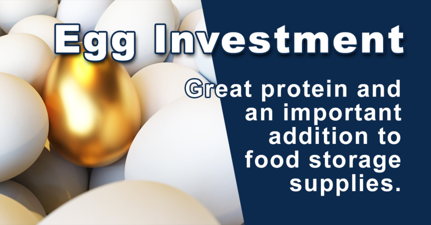 Golden egg surrounded by normal white eggs. Text: Egg Investment, Great protein and an important addition to food storage supplies.