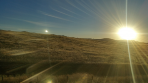 Image of the sun shining brightly over a hillside.