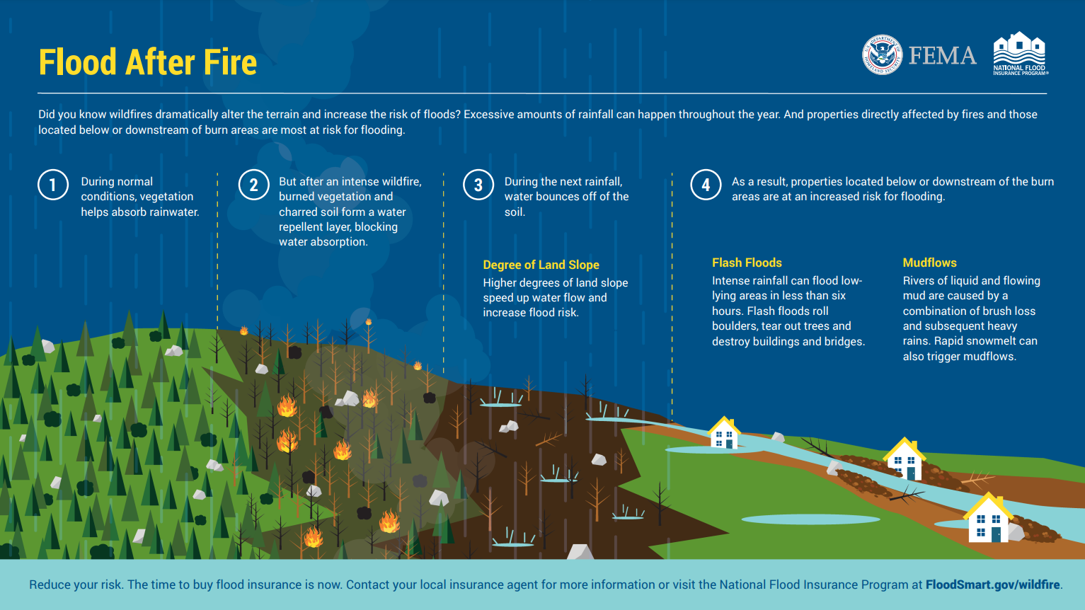 This image is a flood after fire infographic provided by FEMA describing how fires can lead to flash floods and mudflows