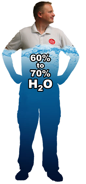You are 60% to 70% water