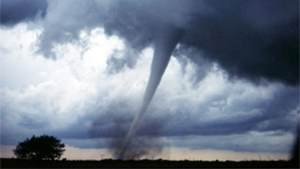 Image of a tornado touching down in a field with a tree.