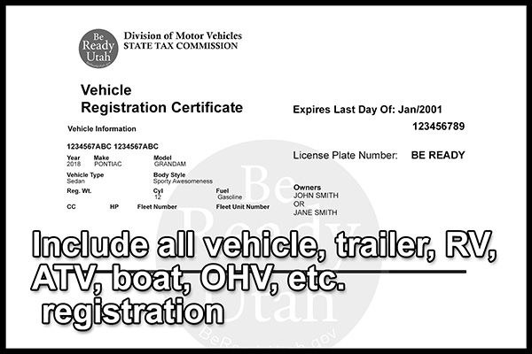 Vehicle Registration Doc Example